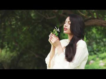 Climate sustainability analytics: Sacred Groves and Effiya | Nature and Technology